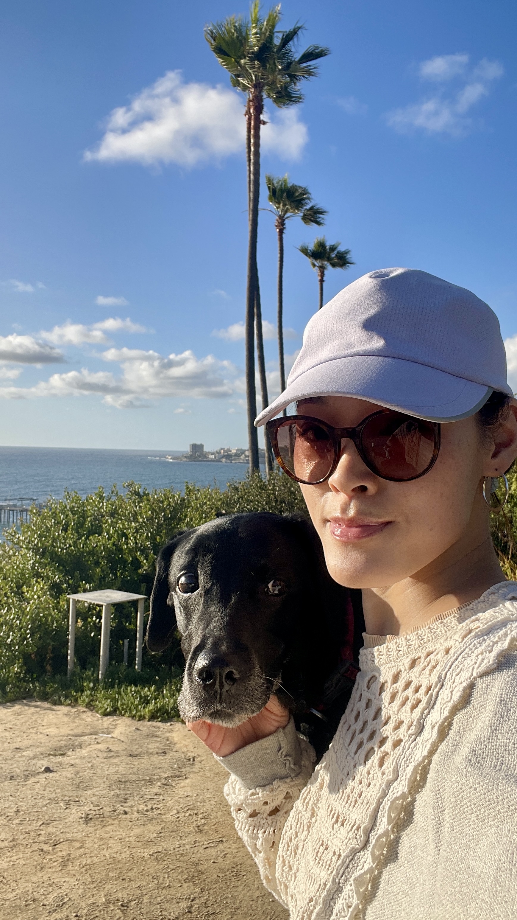 Love, Hate, and Confidence in Writing